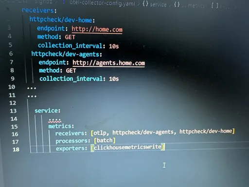 Image 1 for <span class="s-mention s-user"> <strong>Srikanth</strong></span> added https check/* at L1760 and metrics at 1970 and oltp collector is failing.<br>I think this is for docker instal method. That’s y it is failing.can you give us k8s deployment method.